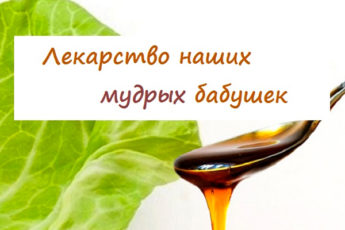 От кашля — капустный лист