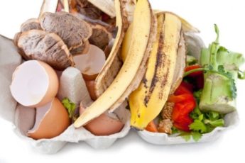 Топ-7 продуктов, которые нельзя выбрасывать
